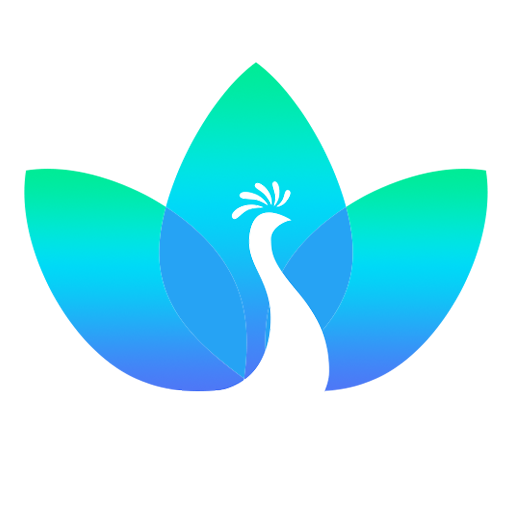 一拍秀