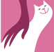 智猫AI